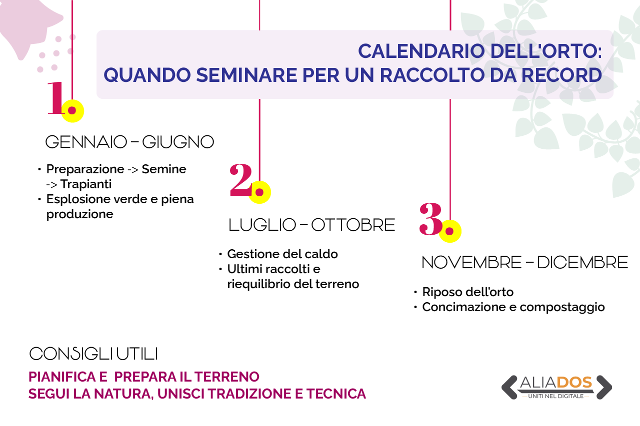 Immagine selezionata